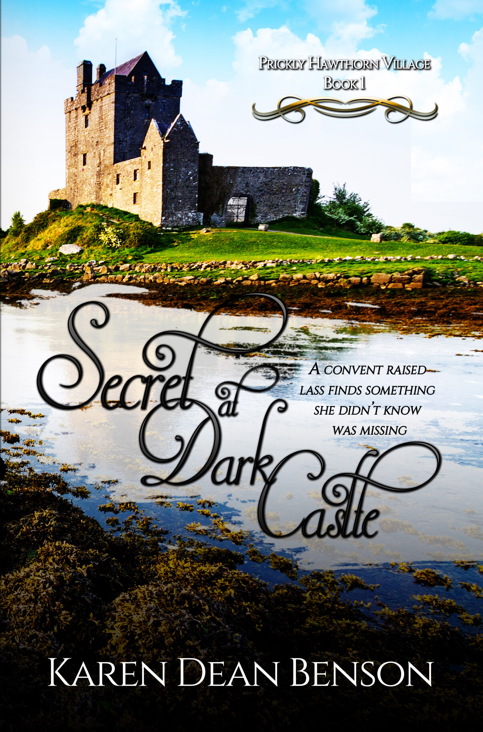 secret at dark castle